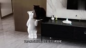 猴：二师兄你看我的，是不是比你好看
