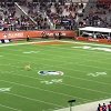 灵性！小狗奔袭整个橄榄球场接飞碟 这速度媲美NFL球员
