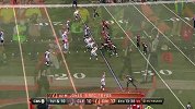 NFL-1516赛季-常规赛-第9周-辛辛那提猛虎31:10克利夫兰布朗-精华