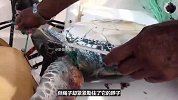 大海上的奇怪一幕，海龟身上被塑料瓶缠绕，这到底是想干嘛？