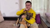 主人一直抱着德牧不放，汪星人会是啥反应？看完忍住别笑