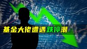 基金大佬遭遇跌停潮