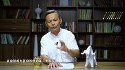 面孔-乱象上  叱咤A股的“中国农业第一股”