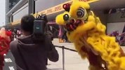 硬核文化输出！F1上海赛耍舞狮助阵 老外倍儿爱争相拍摄