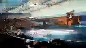 旅游-海豚表演开幕