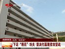 小龙虾“霸占”德国柏林公园