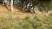 国外搞笑合集，锄来的草也要偷？两个小伙被打惨了