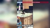 猫咪把散装大米当猫砂，上完厕所还埋了，超市回应