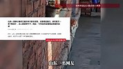 小猫为避开湿水泥地大秀“三脚猫功夫”，留下一串梅花脚印，网友评论太扎心