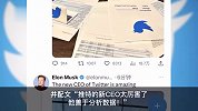 马斯克戏称狗狗为推特CEO