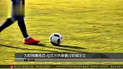 欧洲杯-16年-为欧锦赛练兵 乌克兰热身赛过招威尔士-新闻