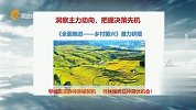 《全面推进——乡村振兴》潜力研报