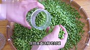 家里吃不完的豆角，用来做酸豆角和干豆角，又简单又好吃可以试试