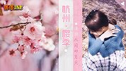 樱花飞舞四月天，来杭州感受味蕾上的春日气息！
