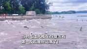 云南滇池突现“群鱼跳龙门”，目击者直呼好运：数百条鱼同时跳跃