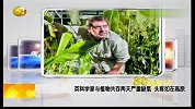 英科学家与植物共存两天严重缺氧如在高原