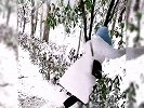 盘点下雪天的倒霉瞬间，南方人体会不到的快乐，雪地里撒欢