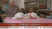日本机器海豹陪伴老人