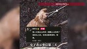 善缘结善果！女子爬山意外救起被困粪坑小狗，事后第二天就找到丢失无人机
