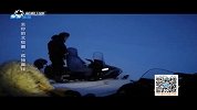 《去你的北极圈》之暴风雪中捕麝牛