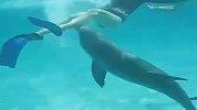 在海里被流氓海豚调戏你只能默默接受现实