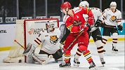 KHL-万科龙上演逆转好戏 背靠背双杀老虎迎春节