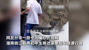 中学生骑改装摩托高速行驶，未戴头盔飞速撞墙倒地不起，现场曝光