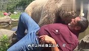 棕熊非要主人背背，主人：你那么大块头，十个我也背不动啊