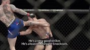 UFC-18年-FN134 胡阿：离冠军将更进一步-专题