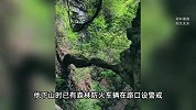 坠崖视频曝光！山西蟒蛇之吻攀爬线有驴友坠崖，官方回应