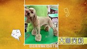 大咖笑料-20160927-  脑洞大开!看乐高如何七十二变