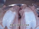 大骨头别只会炖汤喝了，像我这样做个酱大骨，软烂入味，百吃不腻
