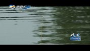《四海钓鱼》-钓赛进行时-2015——2016年“金龙”一战成王全国巡回赛 安徽站 下