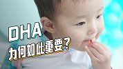 DHA补充关键期在3岁前，有利于促进宝宝大脑及视网膜的发育