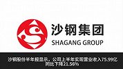 公募大佬徐彦旗下三只大成基金：首度进入沙钢股份前十大股东名列