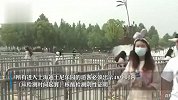 上海迪士尼乐园明起重新开放，近九成为本地游客