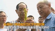 致敬！袁隆平获奖当天还在田间：被授予国家勋章和荣誉称号