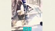 当你走上玻璃栈道，个个现了原形！说好绝对不怂呢？