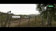 竞速-13年-WRC阿根廷拉力赛Day2-全场
