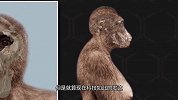 人类究竟起源何处？专家推翻猿人进化论，真相让人不敢相信！