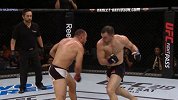 UFC-17年-UFC ON FOX 25前瞻：威兰特精彩对战集锦-专题