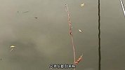 天天钓不到鱼，是有原因的