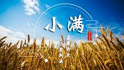 小满：盛夏将至 小麦渐满