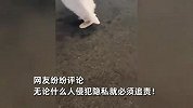 女生上海车展遭韩国男子偷拍，霸气质问并报警，男子当场吓哭认怂