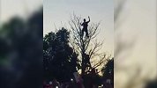 “玩命”型球迷！克罗地亚2大哥爬树上庆祝晋级决赛引围观