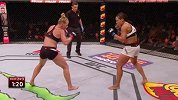 UFC-15年-UFC193自由格斗：霍尔姆vs雷诺-专题