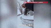 90后小伙开挖机旅行3000公里，帮环卫工清积雪，当事人回应