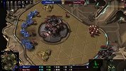 【星际争霸2】第一届火猫杯执政官半决赛BKGG队Z vs Zycart队T