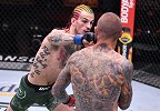 UFC250主赛：维因兰德VS肖恩-奥麦利