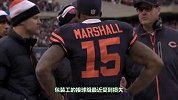 NFL-1314赛季-常规赛-第九周-熊队VS包装工前瞻-前瞻